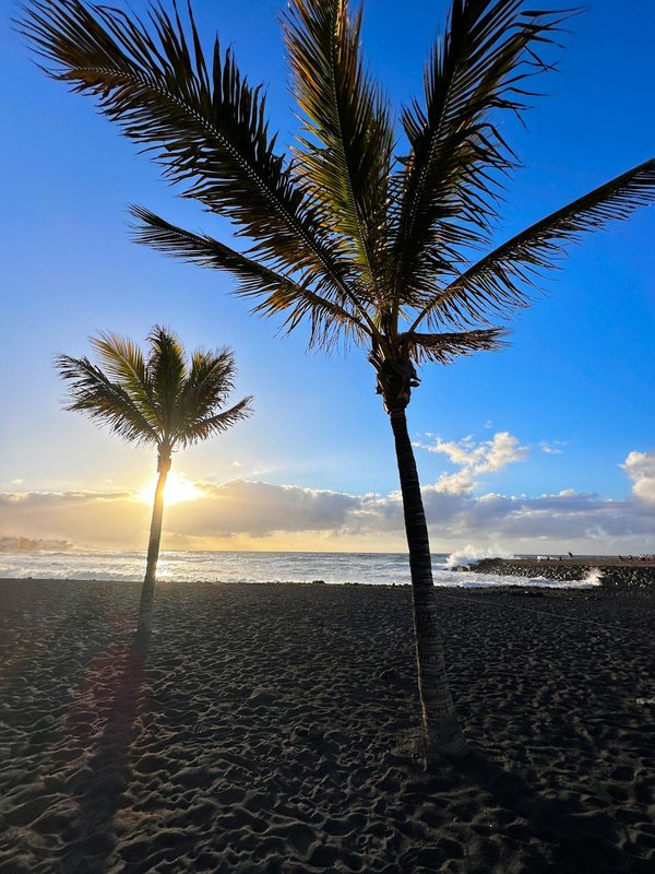 Transform Your Terraced House Garden: A Step-by-Step Guide to Setting Up a Rainwater Harvesting System